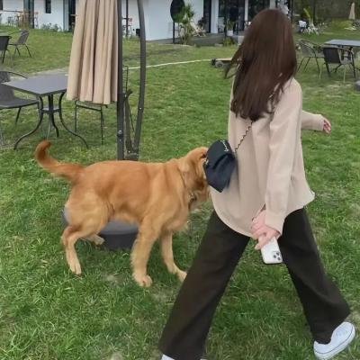 马里盖拉：革命先锋